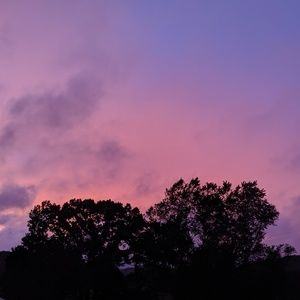 Meet your Posher, Elanna